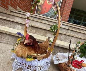 Gwiazdy w mediach społecznościowych pokazały swoje święconki