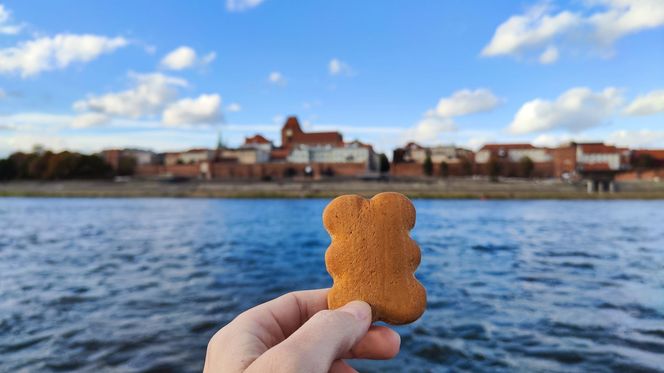 Pierniki na liście UNESCO. Duma w Toruniu
