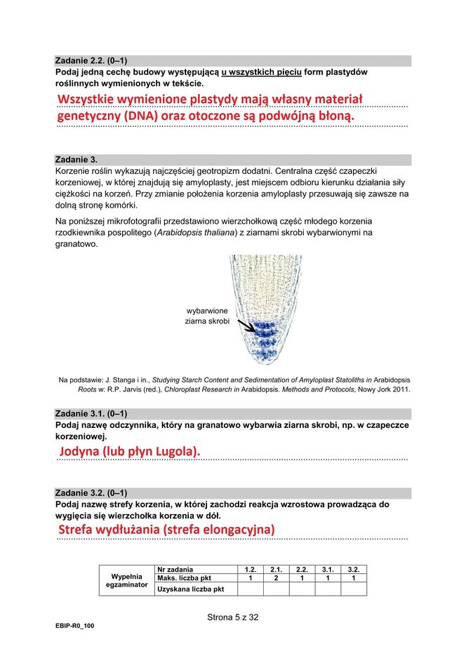 Matura 2025 biologia rozszerzona: ODPOWIEDZI do wszystkich zadań, gotowe rozwiązania matury z biologii rozszerzonej - Formuła 2015 [9.05.2025]	