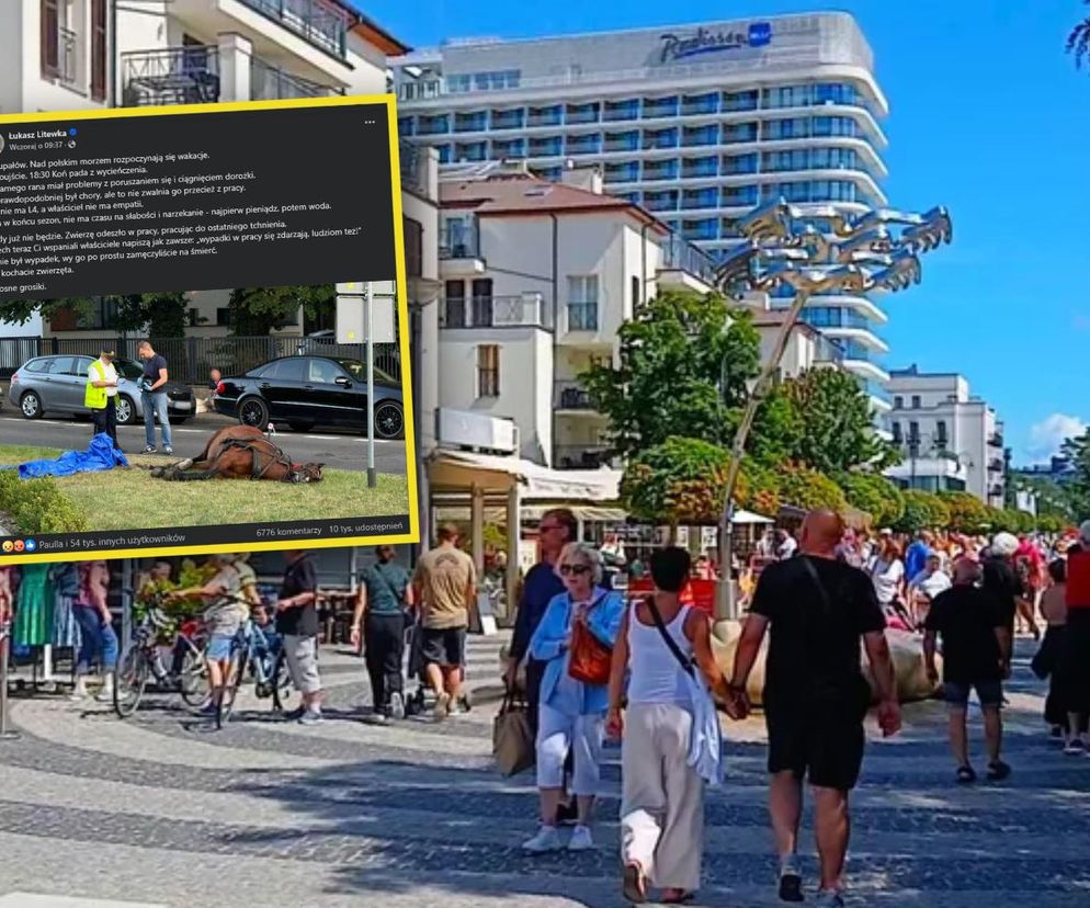 Na promenadzie w Świnoujściu padł koń. Poseł nie miał litości. Żałosne grosiki