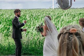 Balon z listem przeleciał niemal tysiąc kilometrów. Niezwykłe odkrycie w lesie [ZDJĘCIA]