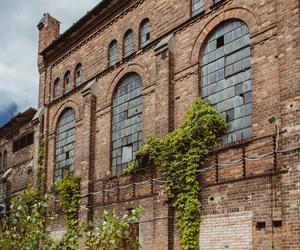 Królewska Fabryka Papieru w Konstancinie koło Warszawy będzie zrewitalizowana