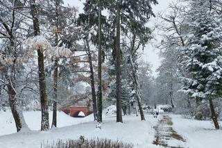 Zima w Zamościu. Śnieżna kołderka okryła miasto! Zobacz zdjęcia