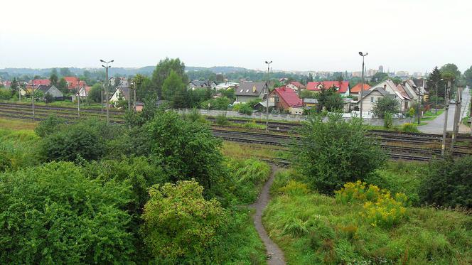 Olszynka