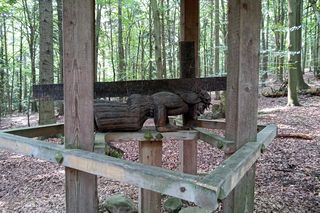 Nowa Słupia, Puszcza Jodłowa i Święty Krzyż