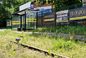 Torowisko tramwajowe na Babiej Wsi w Bydgoszczy zarośnięte chwastami. Tramwaje zniknęły stąd lata temu