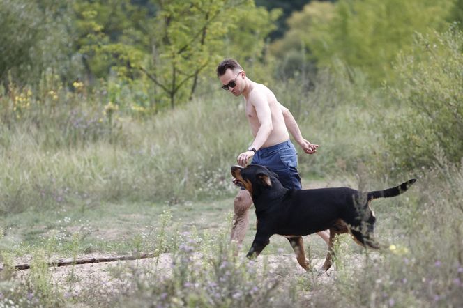 Poseł kąpał się z psem