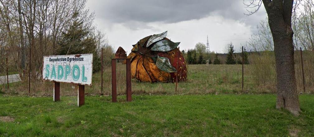 Wielka truskawka pod Warszawą