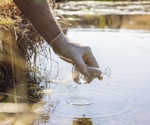 Wódka z pieprzem i czosnek nie działały. Cholera w XIX w. zabiła pół mln Polaków