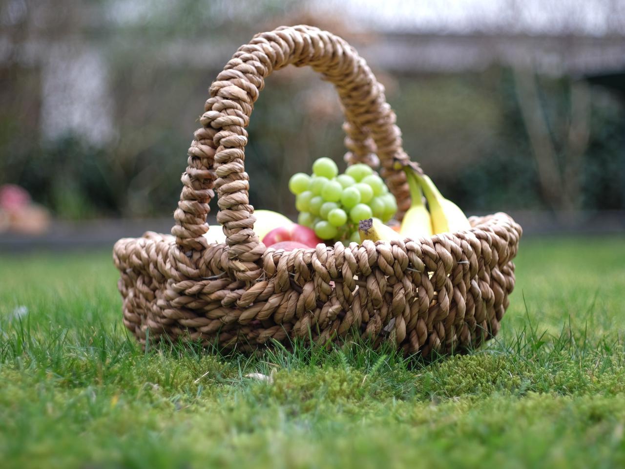 Szykuje się rodzinna zabawa! Piknik Ekologiczny w Parku Północym