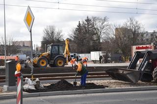 Remont ulicy Kujawskiej w Bydgoszczy trwa. Rozpoczęły się prace przy zieleni [ZDJĘCIA]