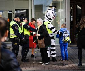 Zebra Basia rozdawała odblaski na chorzowskiej Wolce 