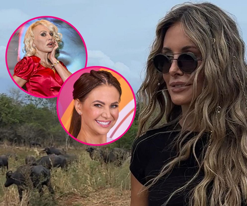 Królowa przetrwania