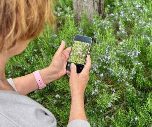 Ten telefon pokocha każda mama. Przeczytaj, dlaczego iPhone 16e to idealny prezent na Dzień Matki 