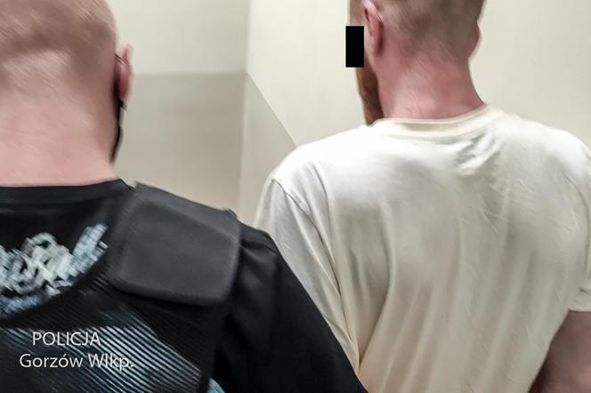 Seryjny włamywacz zatrzymany przez gorzowskich policjantów