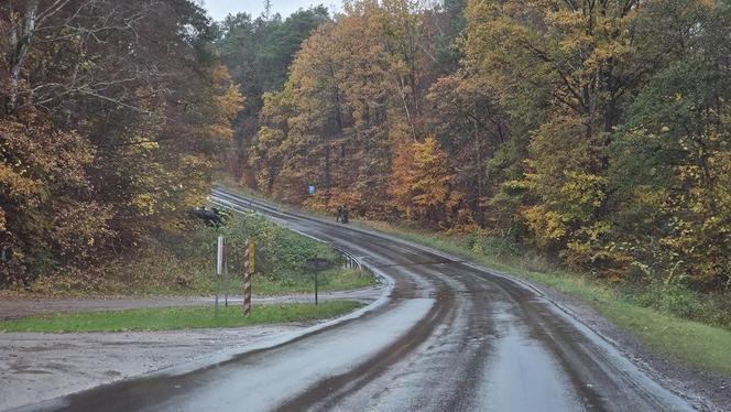 Wypadek w pobliżu Konotopu - wojskowa ciężarówka w rowie 