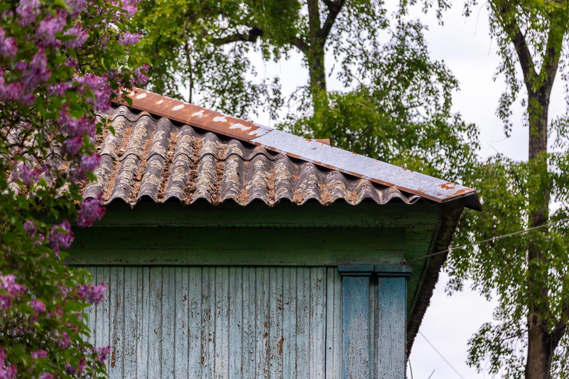 Osiedle "Przyjaźń" w Warszawie - zobacz zdjęcia drewnianej enklawy wśród zieleni