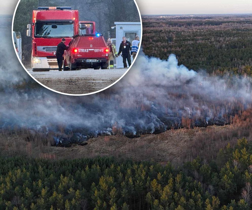 Płonie poligon pod Warszawą. Dym widać z daleka. Ogień nie jest jeszcze opanowany
