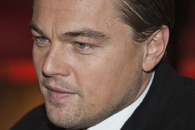 Leonardo DiCaprio znany jest ze swojej działalności na rzecz środowiska