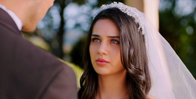 Miłość i nadzieja odc. 273. Kuzey, Bahar