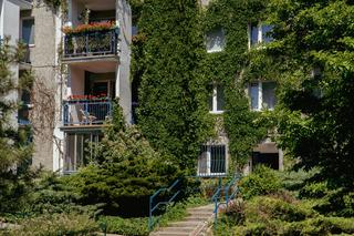 Osiedle Surowieckiego w Warszawie - zdjęcia. Jak wygląda osiedle z wielkiej płyty projektowane  przez znanych architektów?