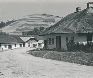 Brzózka