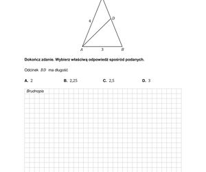 Arkusz maturalny - matura z matematyki 2025