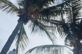 Tak baluje Edyta Herbuś. Zrobiło się gorąco