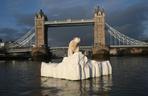 Niedźwiedź polarny w Londynie - globalne ocieplenie