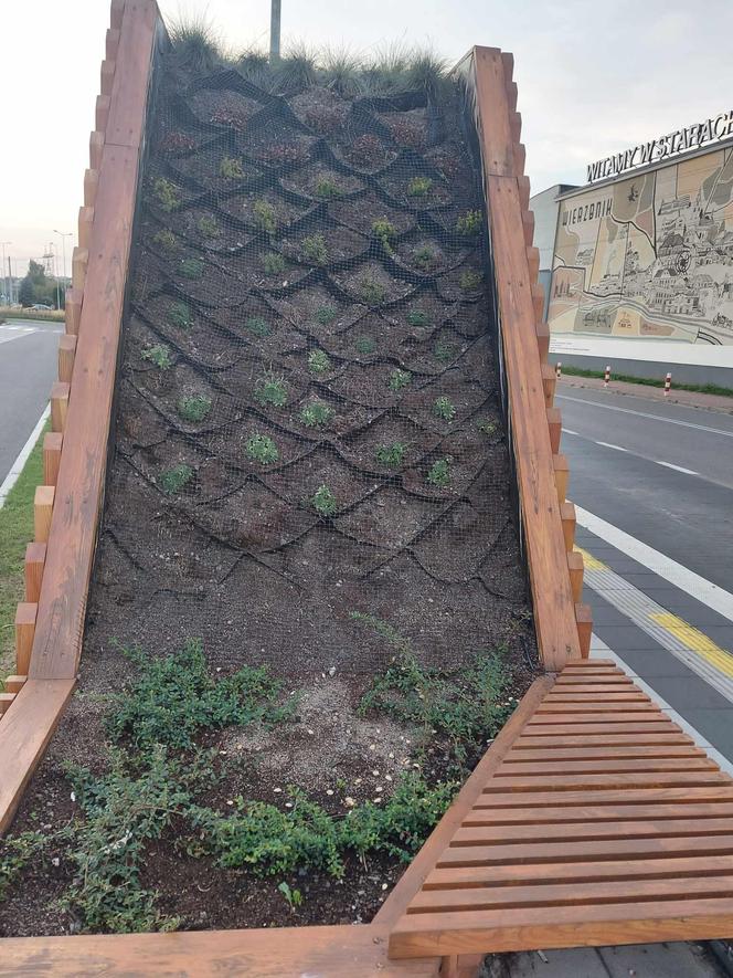 Kolejne 22 tysiące na zielone wiaty w Starachowicach