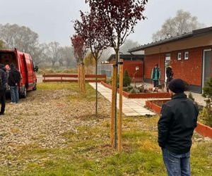 Schronisko dla zwierząt w Nowym Sączu zagrało w filmie. Właśnie wszedł na ekrany kin w całej Polsce!