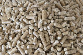 Tanie ogrzewanie. Jak kocioł c.o. na pellet pomaga w oszczędnościach