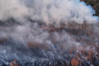 Płonie poligon pod Warszawą. Dym widać z daleka. Ogień nie jest jeszcze opanowany