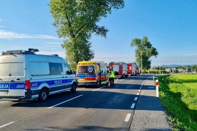 Kot spowodował wypadek samochodu na drodze. Stracił panowanie nad kierownicą