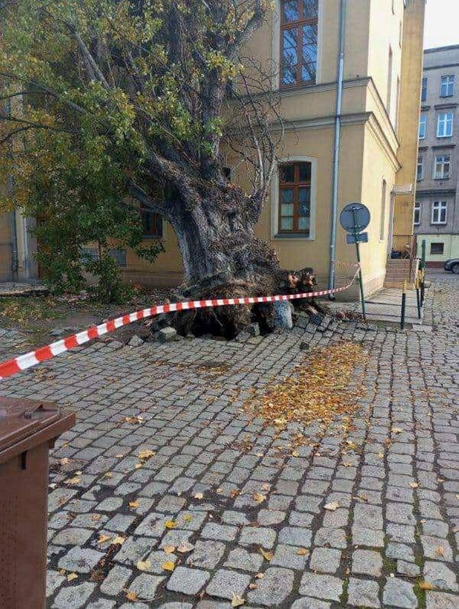 Polska pod naporem wichur! Strażacy nie mieli chwili wytchnienia