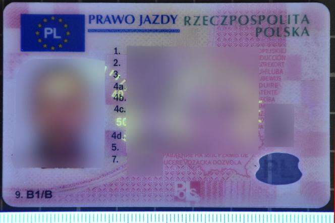 KROŚCIENKO: Znaleźli ponad 100 fałszywek. Wśród nich m.in. prawa jazdy i orzeczenia lekarskie