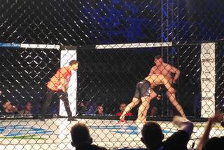 Gala MMA w Lublinie