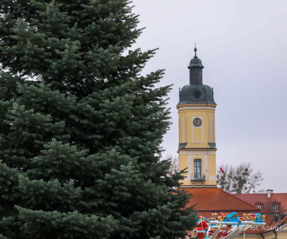 12-metrowa choinka przyjechała na Rynek Kościuszki w Białymstoku