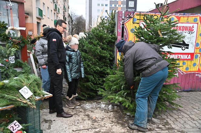 Morawiecki kupuje choinkę na święta