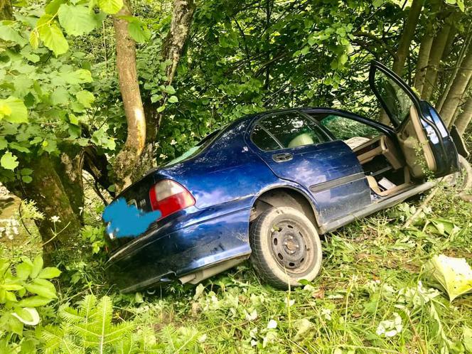 Uhryń. Zuchwała kradzież krowy zakończyła się w przydrożnym rowie. Cielę przeżyło