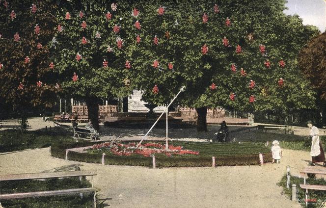 Tak Ogród Saski wyglądał ponad 100 lat temu! To nieprawdopodobne!