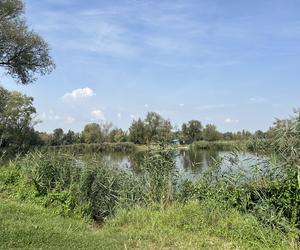 Koniec wakacji, ale nie sezonu kąpielowego. Weekend nad wodą w Przylasku Rusieckim