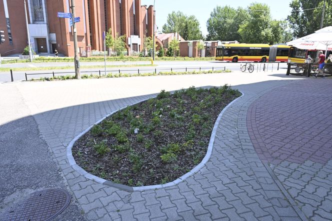 Mieszkańcy Warszawy oceniają efekty rozbetonowania stolicy. Przeżyliśmy upał na „zielonym skwerze”