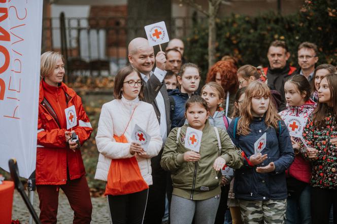 Oby rósł 100 lat! Dąb czerwony na jubileusz 100-lecia PCK