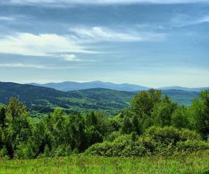 Beskid Makowski