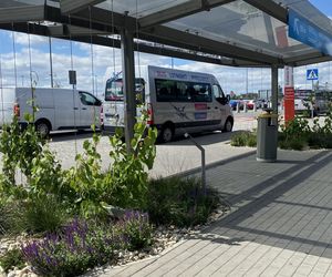 Tak wygladają ogrody deszczowe na parkingu przed terminalami Katowice Airport