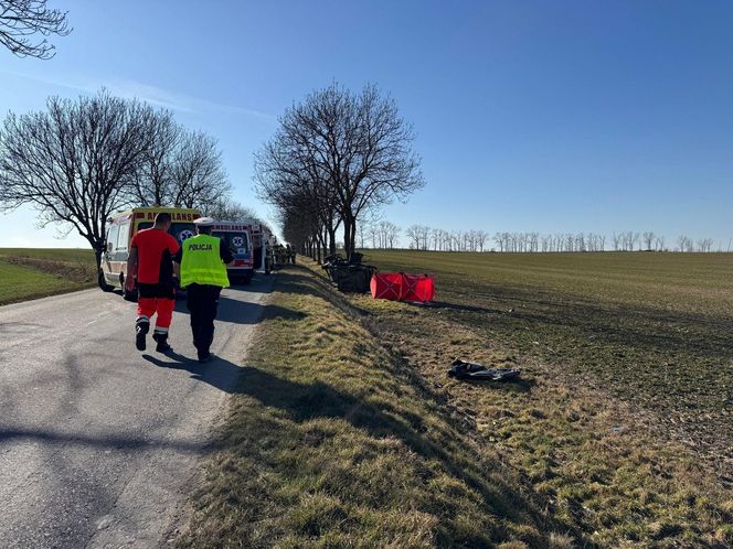 Śmiertelny wypadek pod Nysą. Cztery osoby zginęły po uderzeniu w drzewo [ZDJĘCIA]