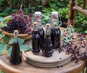 Lecznicza nalewka z czarnego bzu [PRZEPIS]