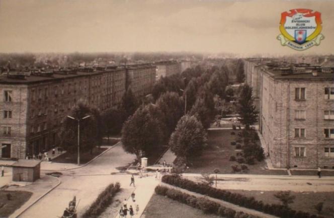 Świdnik