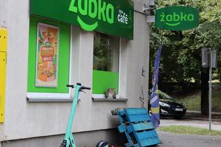 Ten kot to idol studentów w Lublinie. Zobacz